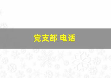 党支部 电话